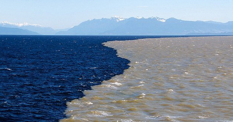 Dimana kamu bisa menemukan laut yang tidak ada airnya