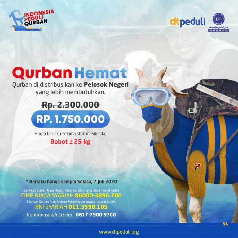 Bersama DT Peduli, Qurban Hemat ke Pelosok Negeri - Pondok Pesantren
