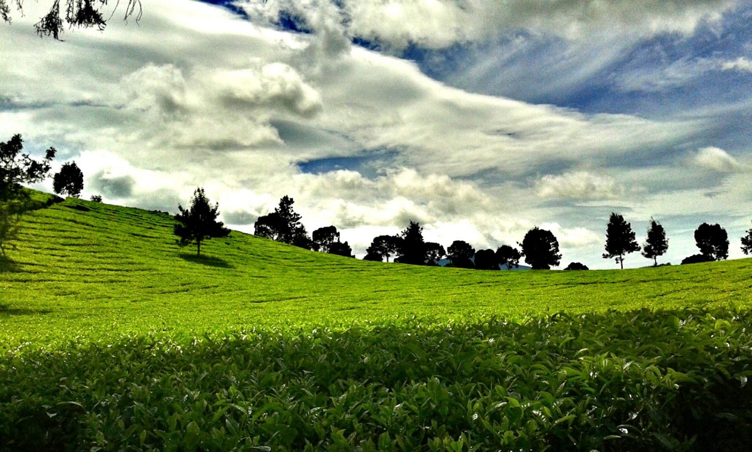 Gunung Nini Pangalengan, Pesona Alam Nan Memukau - Pondok Pesantren ...