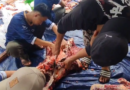 Makmurkan Lahan Wakaf, Pesantren Daarut Tauhiid Gelar Kurban di Eco Pesantren