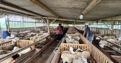 Perkuat Ekonomi Umat, Yayasan DT Tinjau Berbagai Aset Wakaf Produktif di Jawa Tengah